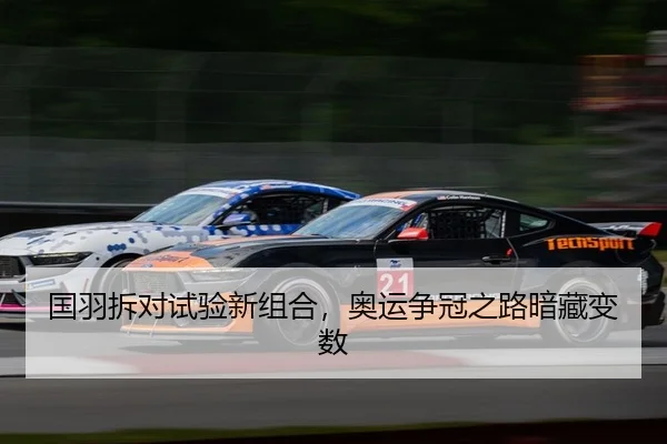 国羽拆对试验新组合，奥运争冠之路暗藏变数